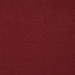 29 Raspberry