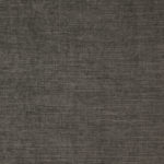 06 Pinecone 06 Pinecone