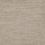 07 Biscuit 07 Biscuit