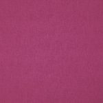 24 Fuchsia