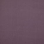 16 Plum
