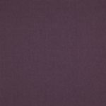 19 Plum