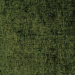 11 Olive
