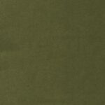 26 Olive