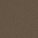 34 Sepia