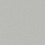 01 Silver